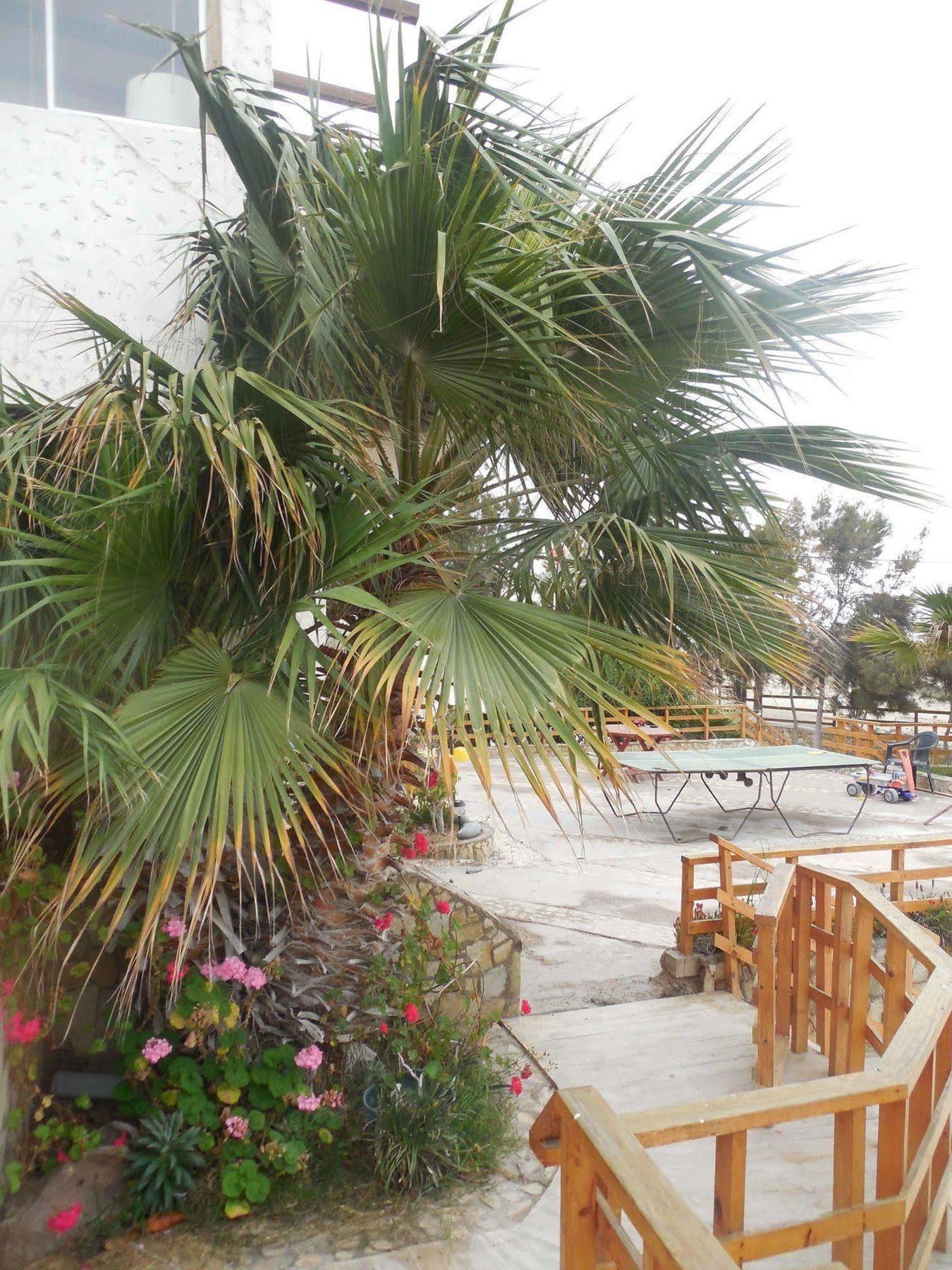 Hotel & Cabanas El Mirador Caldera Dış mekan fotoğraf